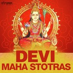 Rita Thyagarajan Songs MP3 Download